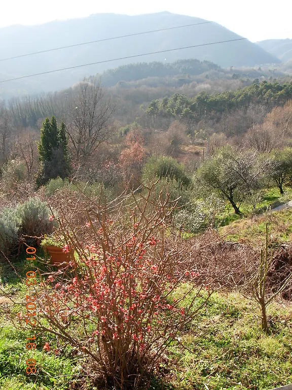Il Montale Villa Mulazzo